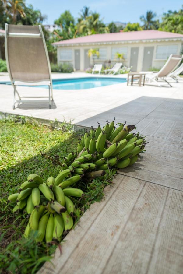 Hotel Les Bananiers Le Gosier  Zewnętrze zdjęcie